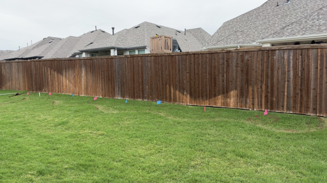 yard before landscaping