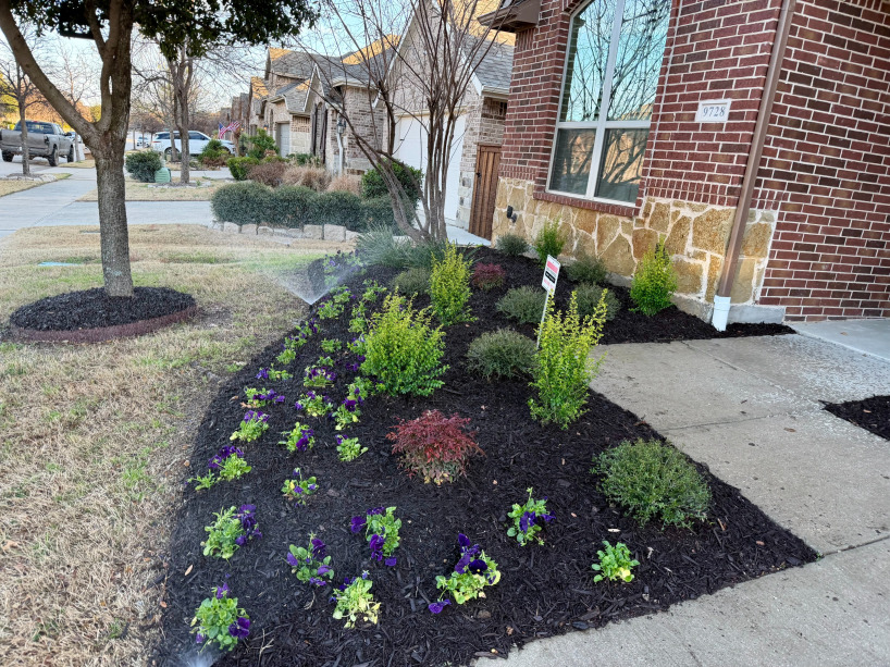 yard after landscaping
