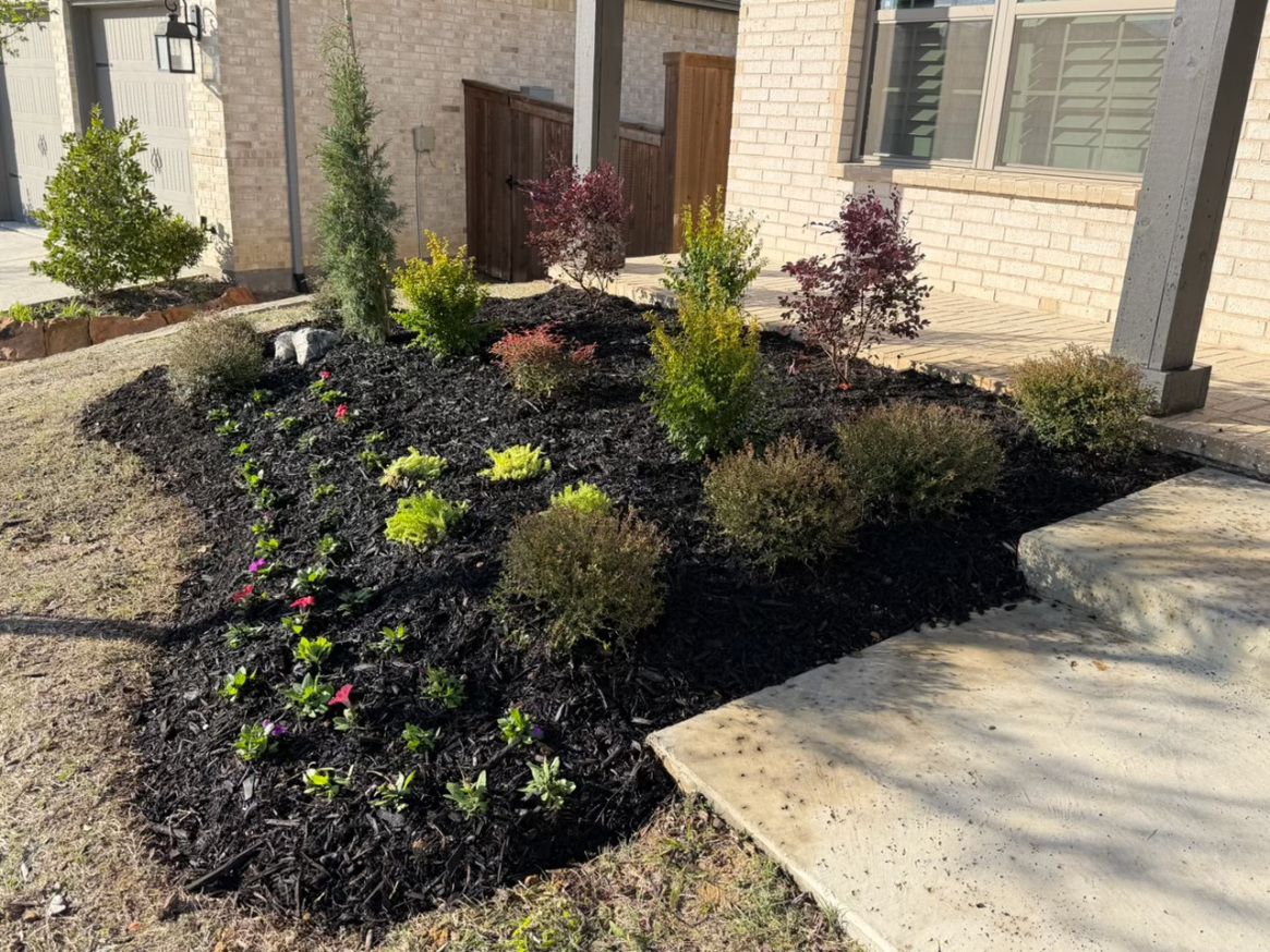 yard after landscaping