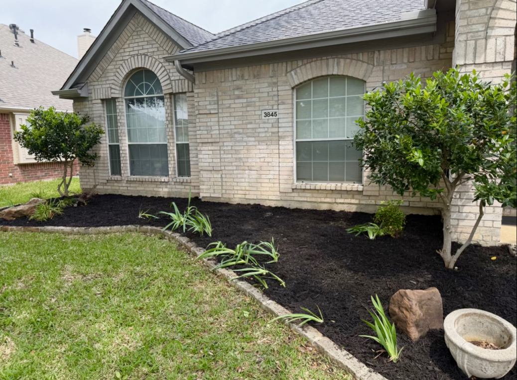 yard after landscaping