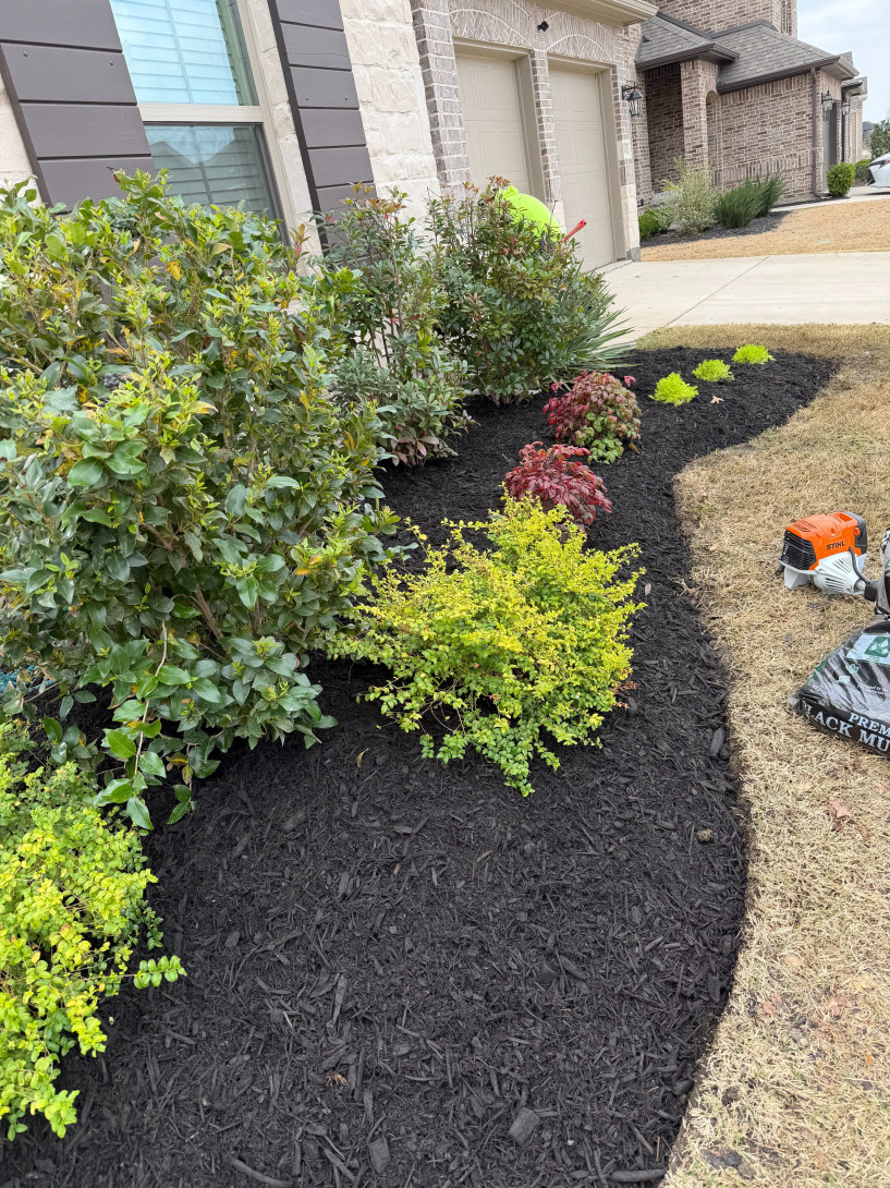 yard after landscaping