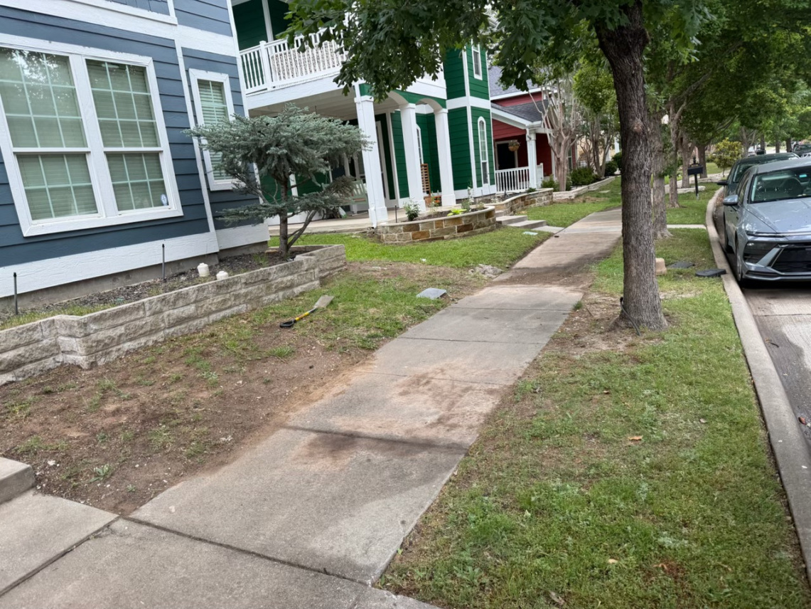 yard before landscaping