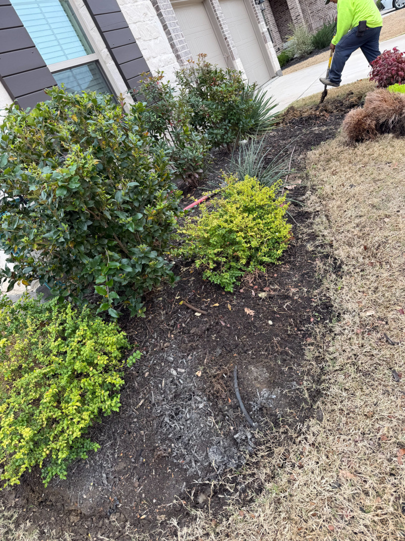 yard before landscaping