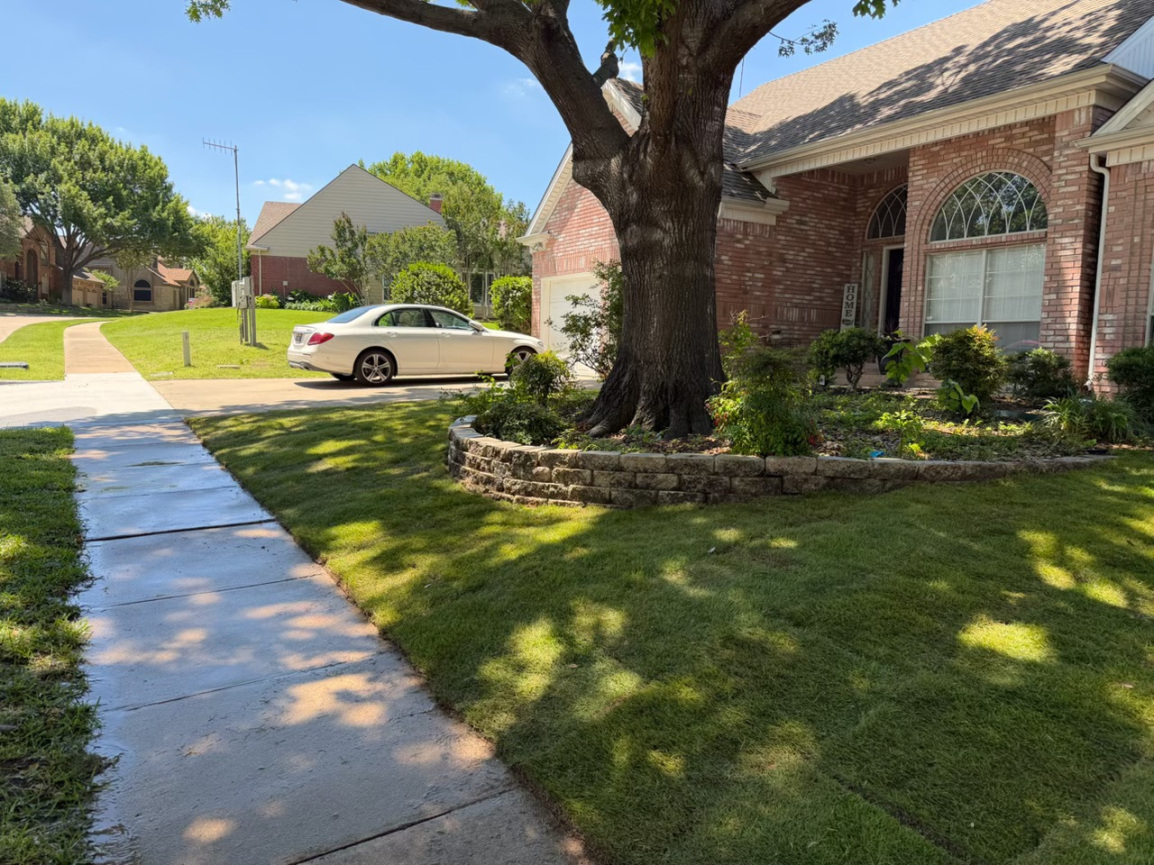 yard after landscaping