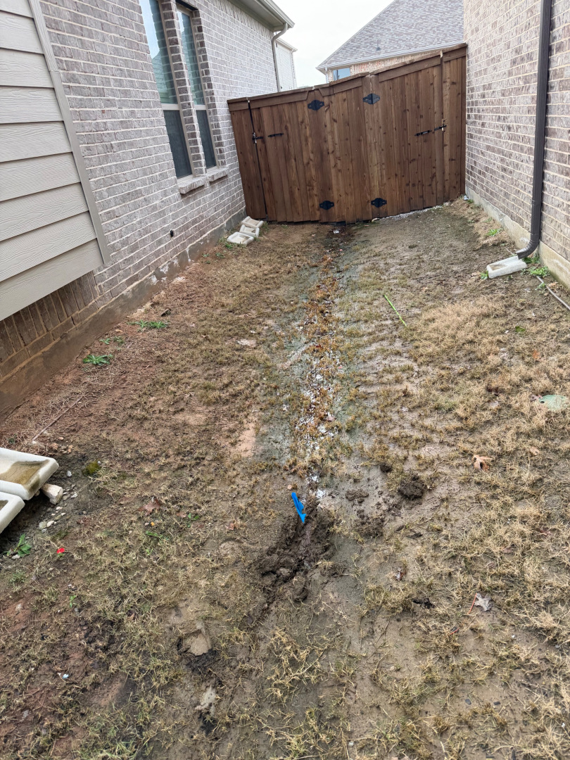 yard before landscaping