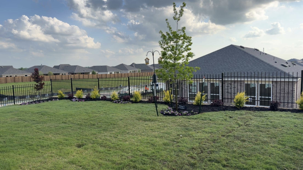yard after landscaping