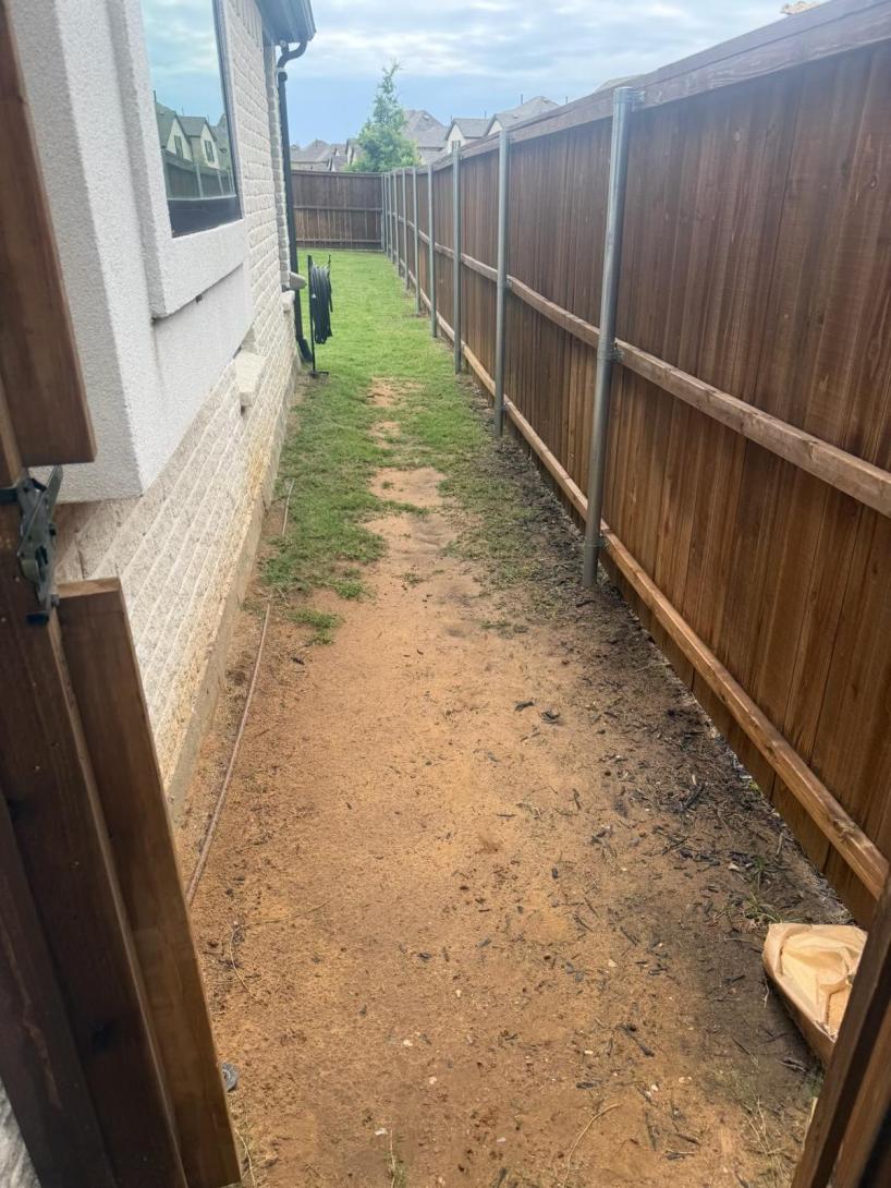 yard before landscaping