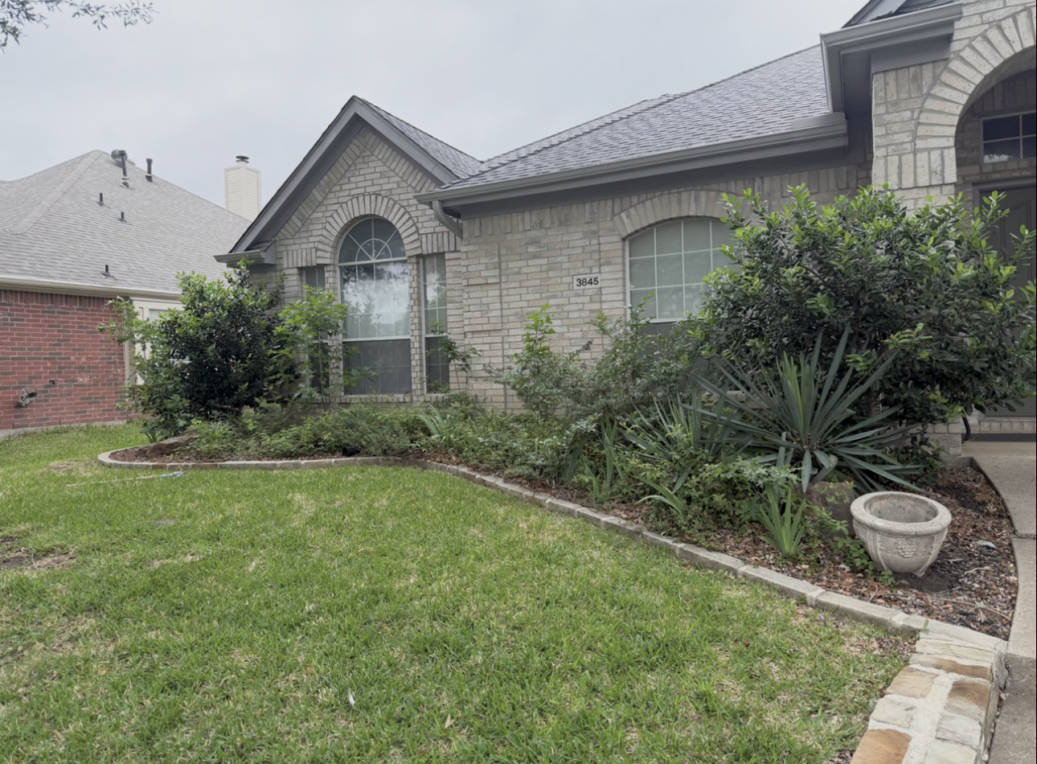 yard before landscaping