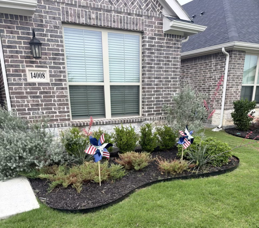 yard before landscaping