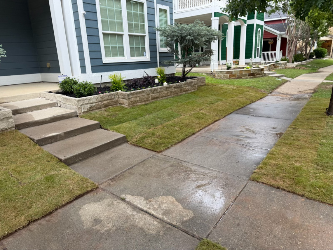 yard after landscaping