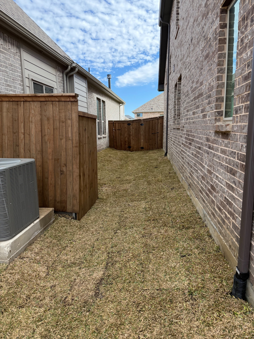 yard after landscaping