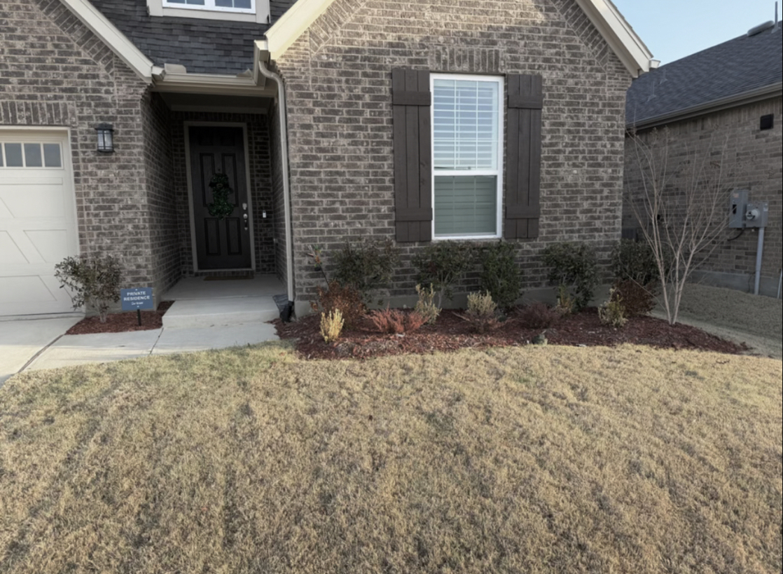 yard before landscaping