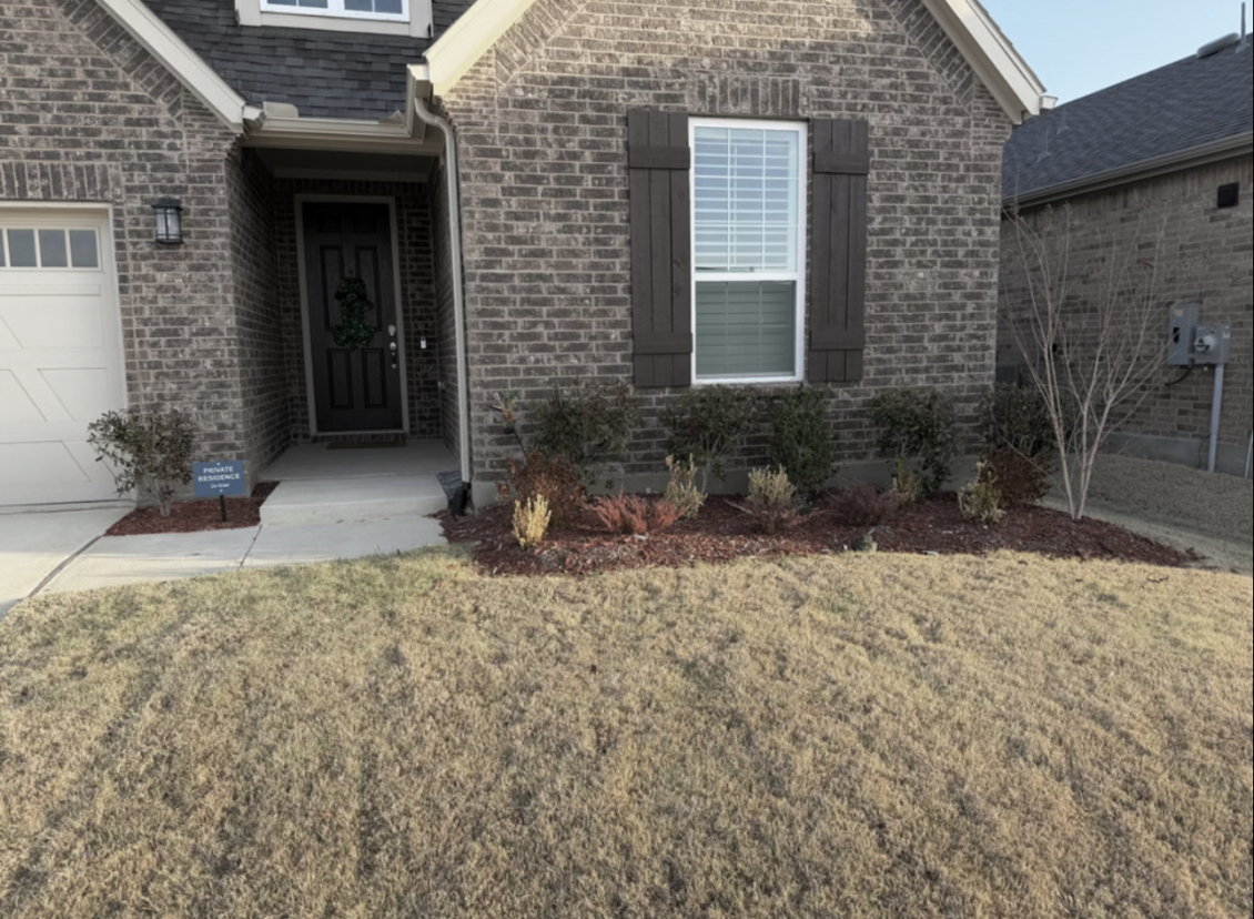 yard before landscaping