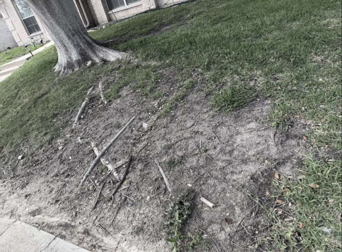 yard before landscaping