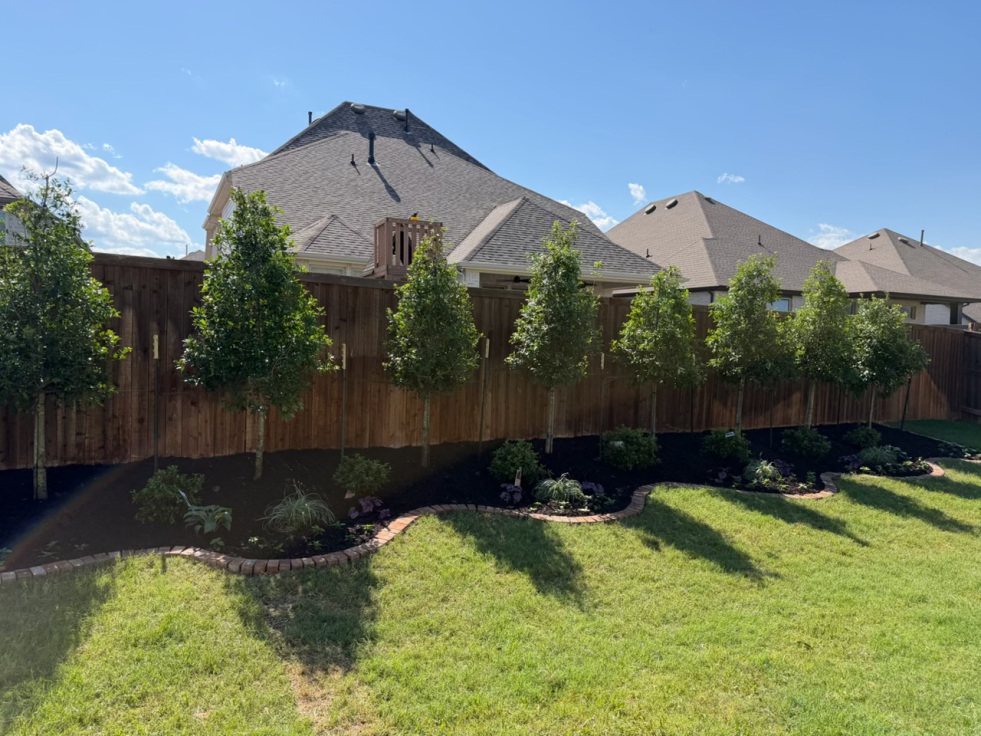 yard after landscaping