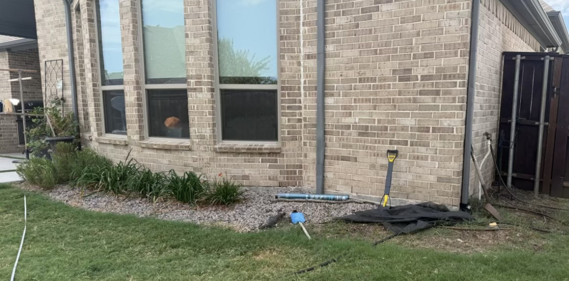 yard before landscaping