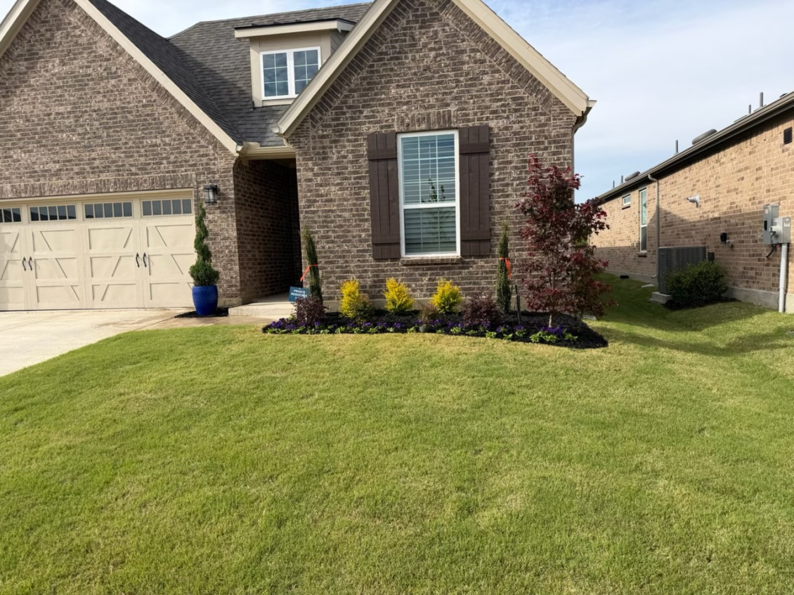 yard after landscaping